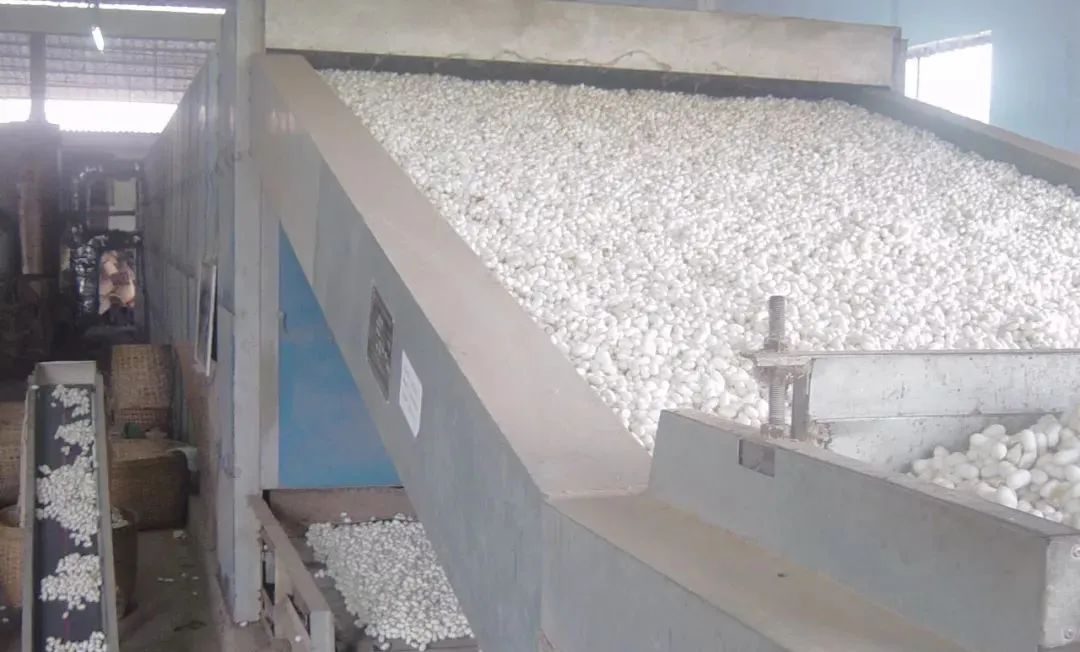 潔匠凈化·的凈工業(yè)除臭劑_繅絲廠“蠶繭烘干惡臭味”，Dejing的凈?除臭創(chuàng)造清新廠房！